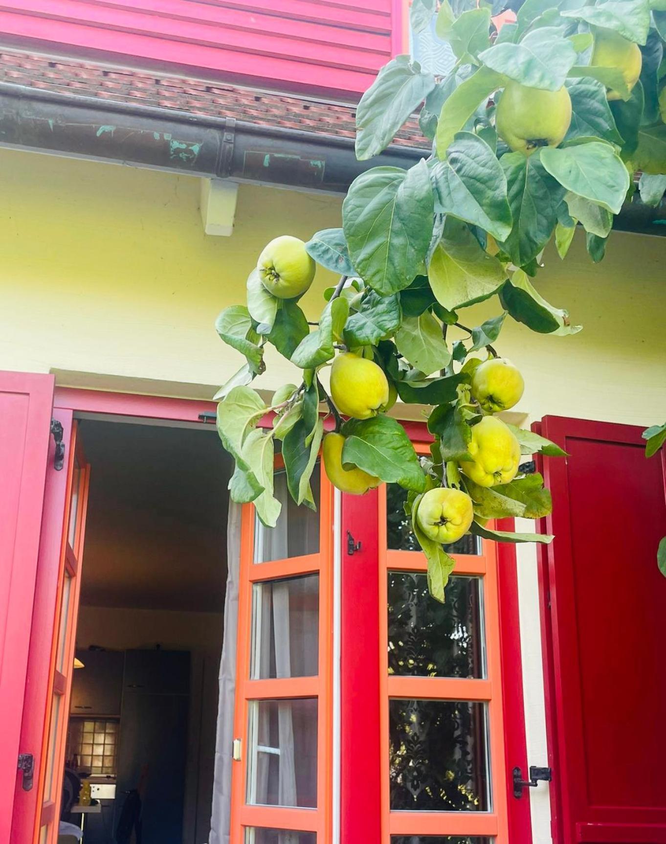 Moewenblick Bakenberg-41 Ferienwohnung Mit Terrasse, Doppelbett, Schlafsofa, Vollstaendige Komfortkueche ดรันส์เคอ ภายนอก รูปภาพ